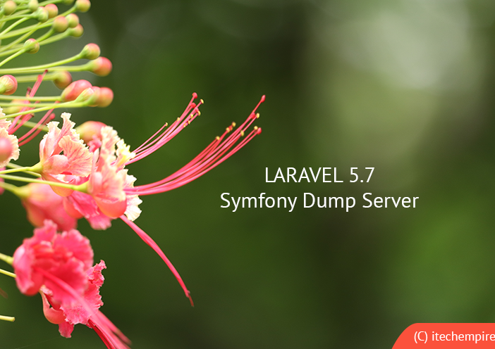 Understand Uses of Laravel 5.7 Dump Server
