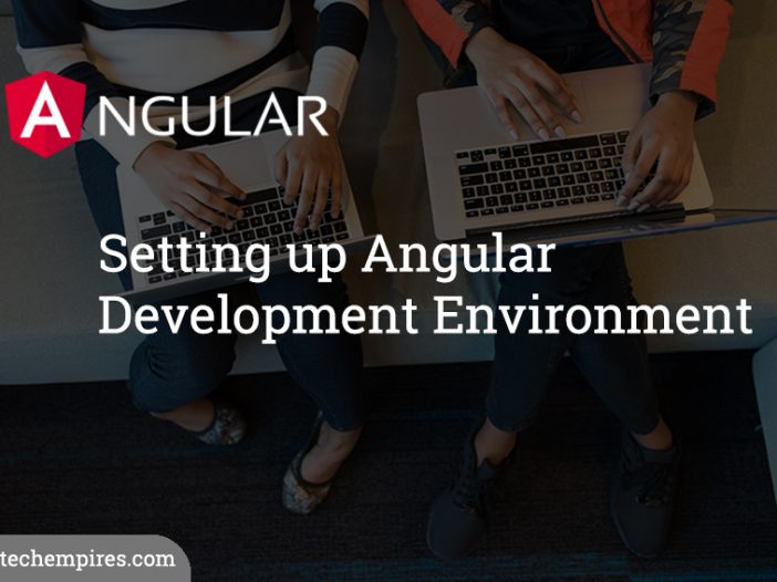 Setting up Angular Development Environment