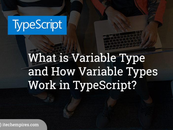 What is Variable Type and How Variable Types Work in TypeScript?